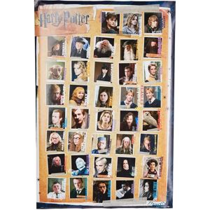 Harry Potter och Dödsrelikerna poster 91,5 x 61 cm Harry Potter och Dödsrelikerna poster 91,5 x 61 cm