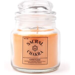 Myga Ylang Ylang Orange Candle - Scented Candle for Aromatherapy - 15h Burn Myga Ylang Ylang Orange Candle - Scented Candle for Aromatherapy - 15h Burn
