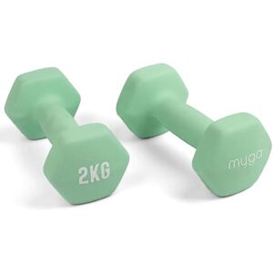 Myga Milieuvriendelijke Hex Dumbbells - 2kg Lichtgroen - Kracht & Fitness Equipment Myga Milieuvriendelijke Hex Dumbbells - 2kg Lichtgroen - Kracht & Fitness Equipment