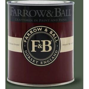 Farrow & Ball Beverly No.310 Green Eggshell Paint - 2.5L Farrow & Ball Beverly No.310 Green Eggshell Paint - 2.5L