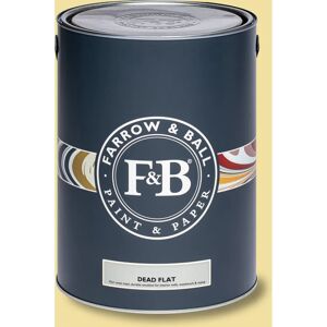 Farrow & Ball Dead Flat Dayroom Yellow No.233 - Paint Farrow & Ball Dead Flat Dayroom Yellow No.233 - Paint