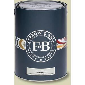 Farrow & Ball Dead Flat Green Ground No.206 - Paint Farrow & Ball Dead Flat Green Ground No.206 - Paint