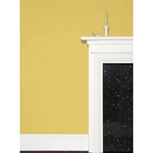 Farrow & Ball Yellow Ground No.218 2.5l Casein Distemper - Paint Farrow & Ball Yellow Ground No.218 2.5l Casein Distemper - Paint