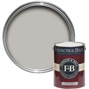 Farrow & Ball Pavilion Gray No.242 Exterior Masonry Paint - 5L Farrow & Ball Pavilion Gray No.242 Exterior Masonry Paint - 5L
