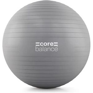 Marque Inconnue Ballon de Gym 65cm Antipénétration Gris - Exercice & Yoga - Publicité Marque Inconnue Ballon de Gym 65cm Antipénétration Gris - Exercice & Yoga - Publicité