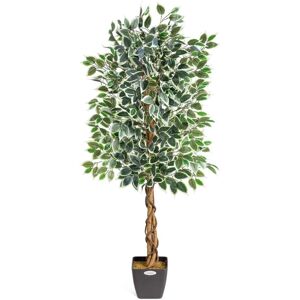 Christow Artificial Variegated Ficus Tree - Green - 150cm Christow Artificial Variegated Ficus Tree - Green - 150cm