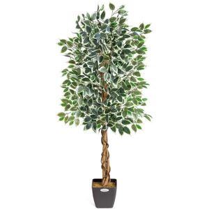 Christow Artificial Variegated Ficus Tree - Green - 150cm Christow Artificial Variegated Ficus Tree - Green - 150cm