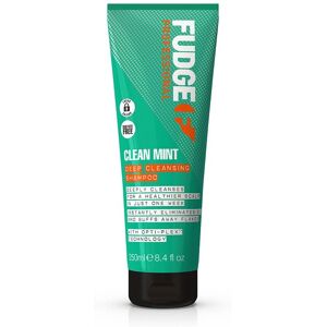 Fudge Mint Deep Cleansing Shampoo - Shampoo Fudge Mint Deep Cleansing Shampoo - Shampoo