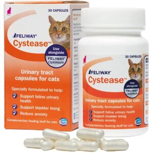 Feliway Cystease - Supports feline bladder health - 30 Capsules Feliway Cystease - Supports feline bladder health - 30 Capsules