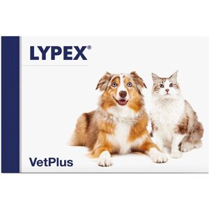VetPlus Lypex Cápsulas de Enzimas Pancreáticas - 60 Cápsulas VetPlus Lypex Cápsulas de Enzimas Pancreáticas - 60 Cápsulas