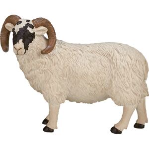 Animal Planet Mouton à Face Noire (Bélier) - Figurine Animale - Publicité Animal Planet Mouton à Face Noire (Bélier) - Figurine Animale - Publicité