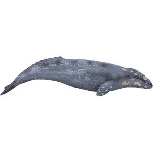 Animal Planet Baleine Grise Jouet - Figurine de la Vie Marine pour Enfants 3+ - Publicité Animal Planet Baleine Grise Jouet - Figurine de la Vie Marine pour Enfants 3+ - Publicité