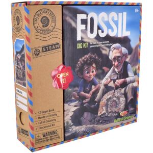 Kandy Toys Discover & Explore Fossils Excavation Kit Kandy Toys Discover & Explore Fossils Excavation Kit