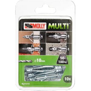 MOLLY M101010-XJ - Ancrage mural métallique 10x60mm (Set de 10) - Supporte 50-100kg - Publicité MOLLY M101010-XJ - Ancrage mural métallique 10x60mm (Set de 10) - Supporte 50-100kg - Publicité