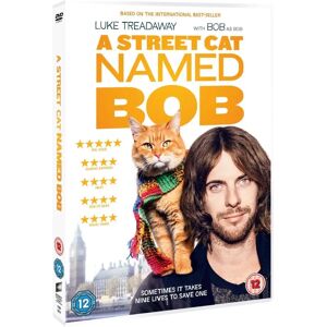 Sony Pictures Home Ent Ein Straßenkater namens Bob - DVD Sony Pictures Home Ent Ein Straßenkater namens Bob - DVD