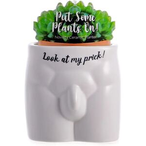 Boxer Gifts Male Anatomy Plant Pot - Put Some Plants On Boxer Gifts Male Anatomy Plant Pot - Put Some Plants On