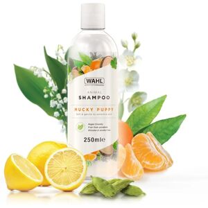 Wahl Mucky Puppy Shampoo - Puppy & Kitten, Gentle, Natural 250ml Wahl Mucky Puppy Shampoo - Puppy & Kitten, Gentle, Natural 250ml