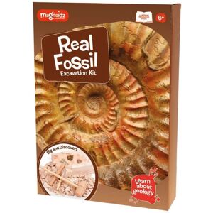Kit di Ricerca Fossili Keycraft - Set Educativo di Paleontologia Kit di Ricerca Fossili Keycraft - Set Educativo di Paleontologia
