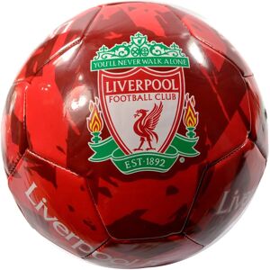 Liverpool FC Modell HOLIPROM HOM120998 - Fotball Liverpool FC Modell HOLIPROM HOM120998 - Fotball