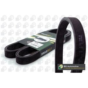 BGA 1841 Poly-V Accessory Belt - V-belt BGA 1841 Poly-V Accessory Belt - V-belt