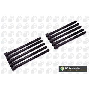 BGA BK3319 Toyota Zylinderkopfbolzen-Set - Polygon 10 - RAV4, Avensis BGA BK3319 Toyota Zylinderkopfbolzen-Set - Polygon 10 - RAV4, Avensis