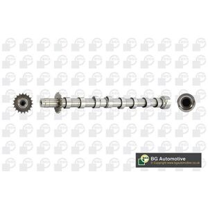 BGA CS5524 - Camshaft for Exhaust Valves - Suitable for 2.0 D Ford Focus II, Galaxy, Kuga, Fiat, Citroën BGA CS5524 - Camshaft for Exhaust Valves - Suitable for 2.0 D Ford Focus II, Galaxy, Kuga, Fiat, Citroën