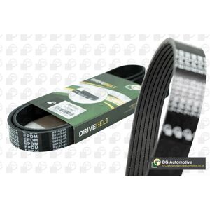 BGA 7PK1705 Courroie trapézoïdale OEM - Courroie trapézoïdale - Publicité BGA 7PK1705 Courroie trapézoïdale OEM - Courroie trapézoïdale - Publicité