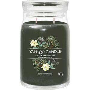 Yankee Candle Ασημί Φασκόμηλο & Πεύκο Μεγάλο Κερί - Κερί Yankee Candle Ασημί Φασκόμηλο & Πεύκο Μεγάλο Κερί - Κερί