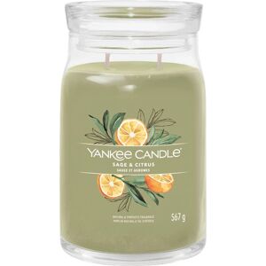 Yankee Candle Salvia & Sitruuna Iso Talo kynttilä - Kynttilä Yankee Candle Salvia & Sitruuna Iso Talo kynttilä - Kynttilä