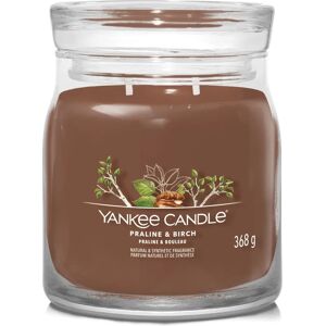 Yankee Candle Praline & Birch Woody Scented Candle - Candle Yankee Candle Praline & Birch Woody Scented Candle - Candle