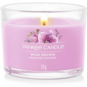 Yankee Candle Orchidée Sauvage Bougie de Cire Violette Yankee Candle Orchidée Sauvage Bougie de Cire Violette