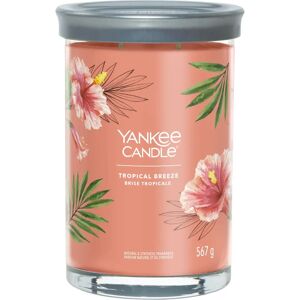 Yankee Candle Large Tropical Breeze Candle - Candle Yankee Candle Large Tropical Breeze Candle - Candle