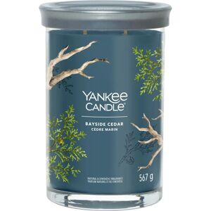Duża Świeca Tumbler Bayside Cedar Yankee Candle - Świeca Duża Świeca Tumbler Bayside Cedar Yankee Candle - Świeca