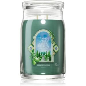 Yankee Candle Olive & Cypress Large Jar Candle - Tuscany Forests Scent Yankee Candle Olive & Cypress Large Jar Candle - Tuscany Forests Scent