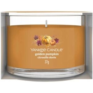 Yankee Candle 2653165E Bougie en Cire Citrouille Orange - Bougie Yankee Candle 2653165E Bougie en Cire Citrouille Orange - Bougie