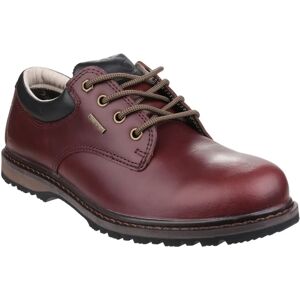 Cotswold Stonesfield Wasserdichte Leder Wanderschuhe - Herren UK 10 Cotswold Stonesfield Wasserdichte Leder Wanderschuhe - Herren UK 10