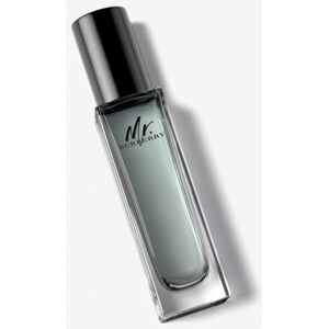 Burberry Mr. Burberry Eau de Toilette - 30ml Burberry Mr. Burberry Eau de Toilette - 30ml