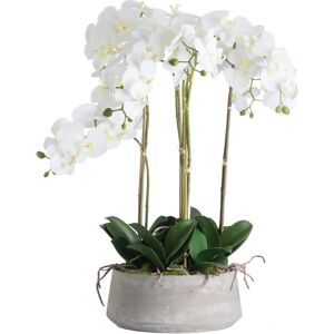 Hill Interiors Large White Orchid In Stone Pot - Orchid Hill Interiors Large White Orchid In Stone Pot - Orchid
