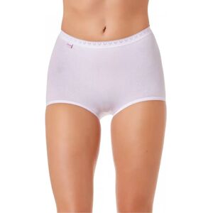 Camille White Maxi Briefs - Comfort Classic Max Briefs - Women’s Cotton 3-Pack Camille White Maxi Briefs - Comfort Classic Max Briefs - Women’s Cotton 3-Pack