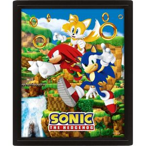 Pyramid International Sonic The Hedgehog 3D Poster - 26x20cm Pyramid International Sonic The Hedgehog 3D Poster - 26x20cm