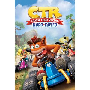 Póster Pyramid Crash Team Racing Multicolor - Carrera - 61x91.5cm Póster Pyramid Crash Team Racing Multicolor - Carrera - 61x91.5cm