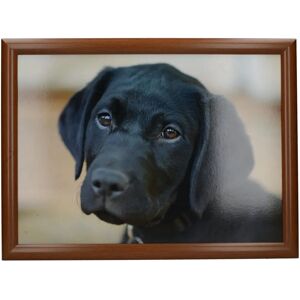 Creative Tops Labrador Laptray - Multicolor - Lap tray Creative Tops Labrador Laptray - Multicolor - Lap tray