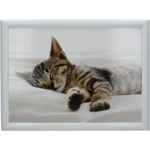 Creative Tops Kitten Lap Cushion - Multi-Use Comfort & Stability Creative Tops Kitten Lap Cushion - Multi-Use Comfort & Stability