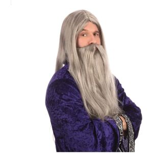 Bristol Wizard Wig and Beard Costume - Grey, One Size - Halloween Bristol Wizard Wig and Beard Costume - Grey, One Size - Halloween