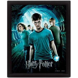 Pyramid Harry Potter (ORDER OF THE PHOENIX) 3D Lenticular Poster - Poster Pyramid Harry Potter (ORDER OF THE PHOENIX) 3D Lenticular Poster - Poster