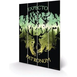 Pyramid International Harry Potter Expecto Patronum Gravure sur bois - Affiche Pyramid International Harry Potter Expecto Patronum Gravure sur bois - Affiche
