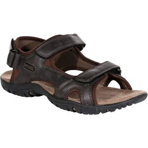 Regatta Sandals Haris RMF331 Peat 6V3 brown Regatta Sandals Haris RMF331 Peat 6V3 brown
