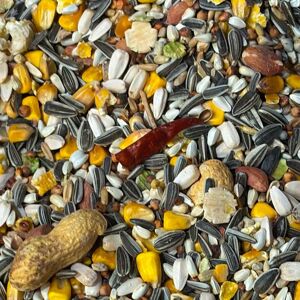 GardenersDream - NO1 Parrot Food - Nuts - Oats - Bird food GardenersDream - NO1 Parrot Food - Nuts - Oats - Bird food