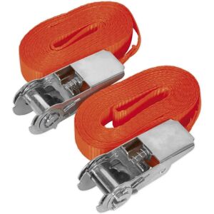 Sealey Self- securing Ratchet Straps - 25mm x 4.5m - Pair Sealey Self- securing Ratchet Straps - 25mm x 4.5m - Pair