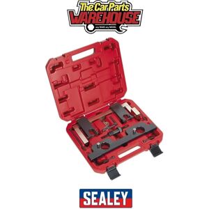 Sealey VSE6188 Petrol Engine Locking/Setting Kit - BMW 2.0 N20 Chain Drive Sealey VSE6188 Petrol Engine Locking/Setting Kit - BMW 2.0 N20 Chain Drive